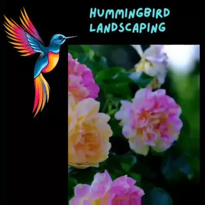Humming Bird Landscaping Logo