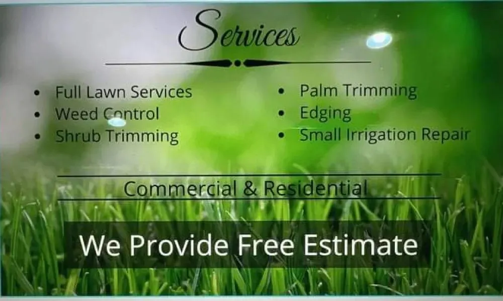 Expert lawn mowing service in Tampa, FL by Humming bird Lawn Services