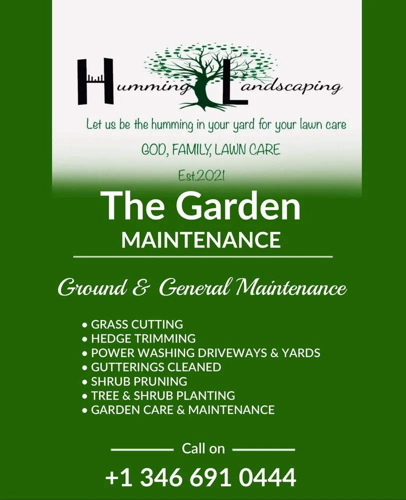 Reliable lawn mowing service in Rosenberg, TX by Humming Landscaping