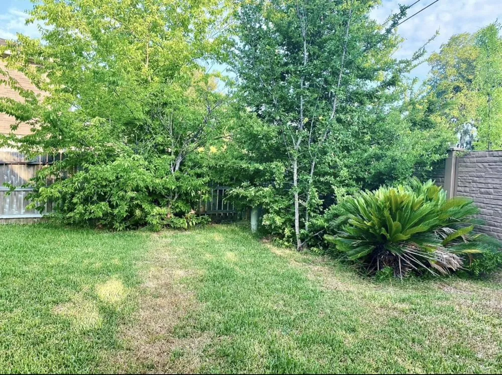 Reliable landscaping services experts serving Rosenberg, TX - Humming Landscaping