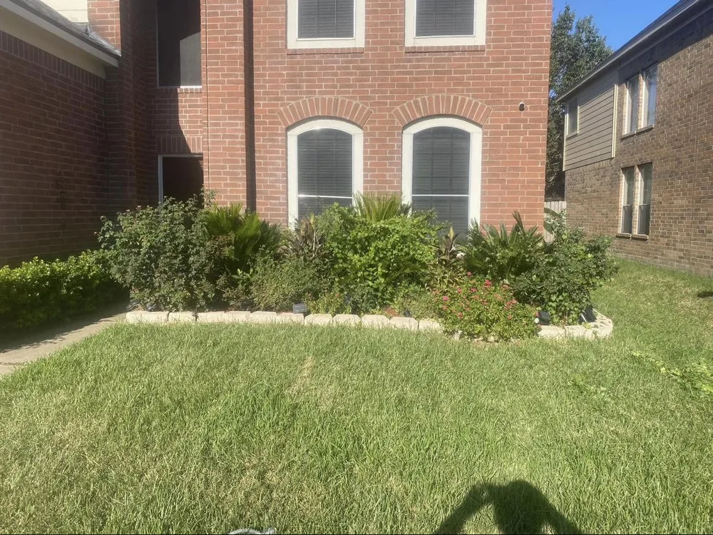 Trusted yard maintenance for residential properties across Rosenberg, TX - Humming Landscaping