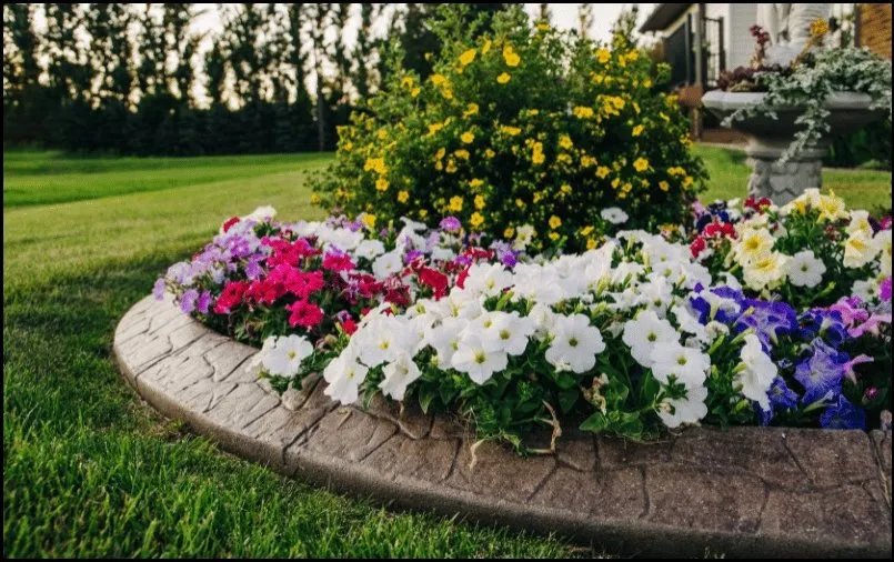 Affordable landscape design in Rosenberg, TX - Humming Landscaping