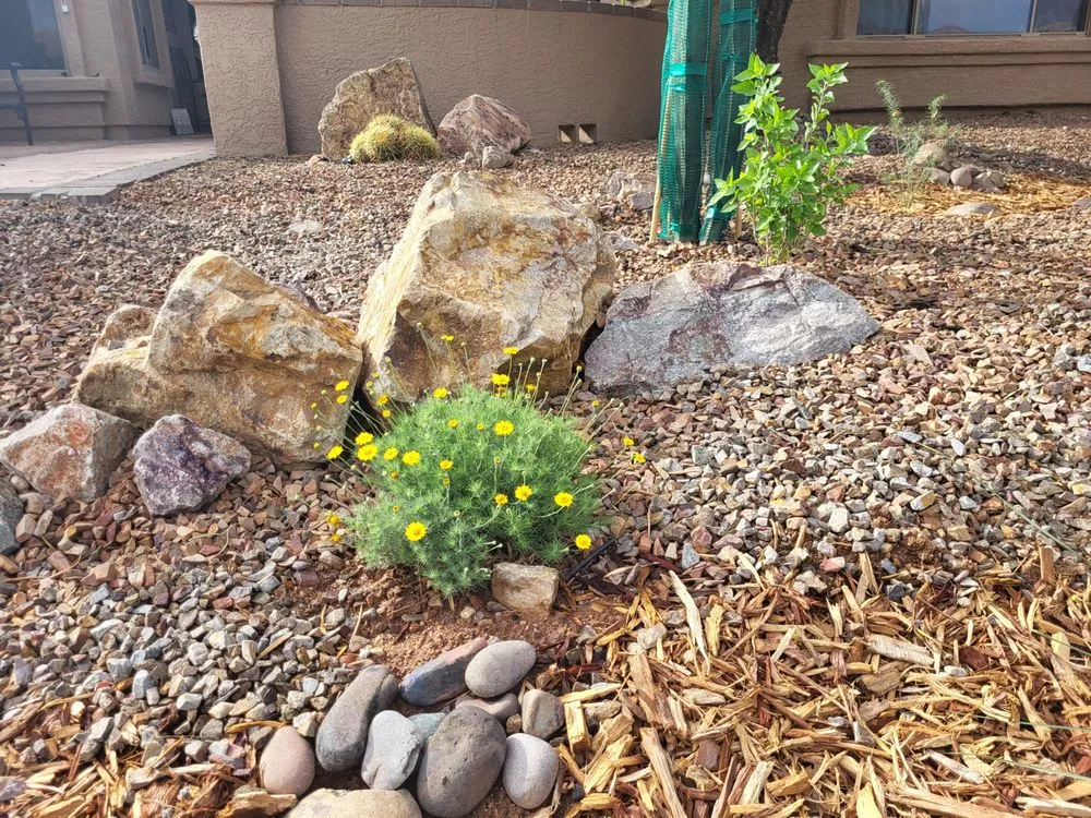 Trusted garden landscaping in Tucson, AZ by Hummingbird Gardens Landscaping