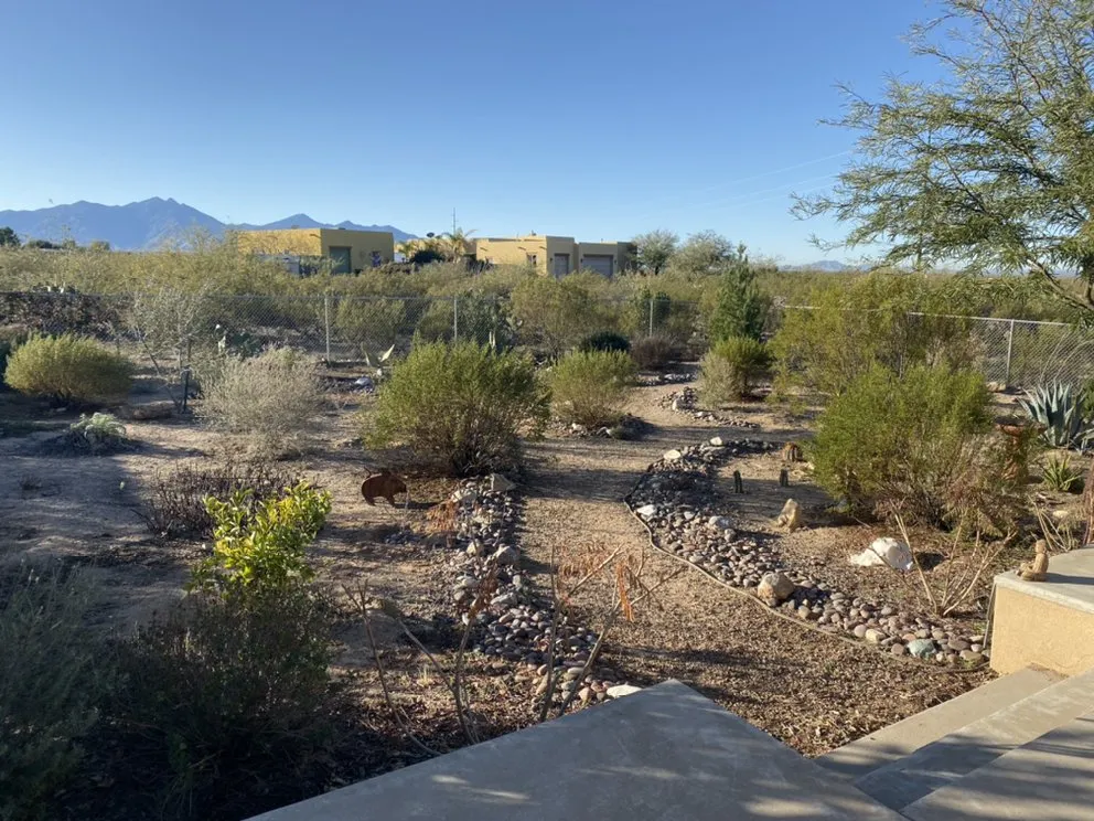 Trusted residential landscaping in Tucson, AZ by Hummingbird Gardens Landscaping