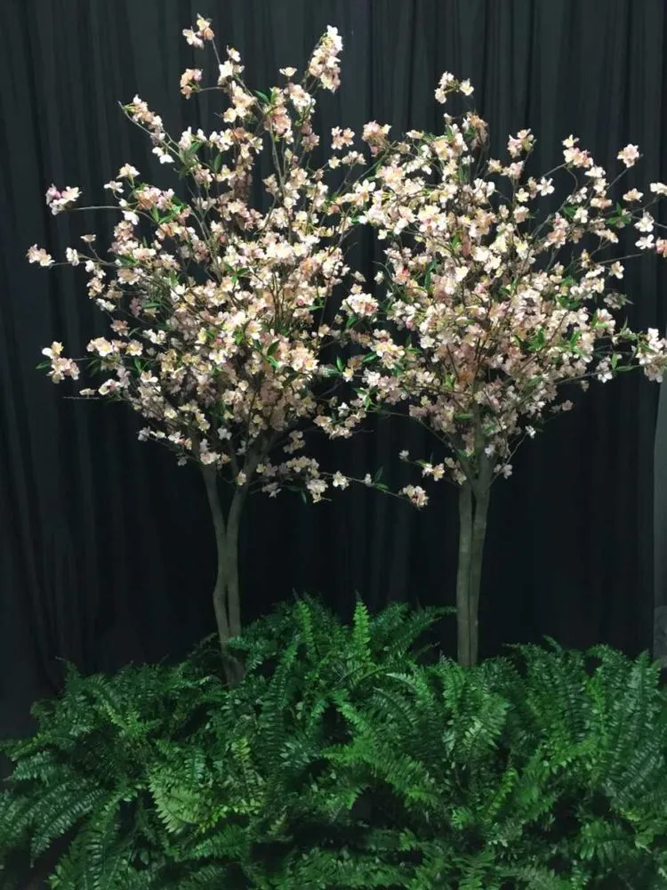 Local landscape design in Asheville, NC by Hummingbird Interior Landscaping