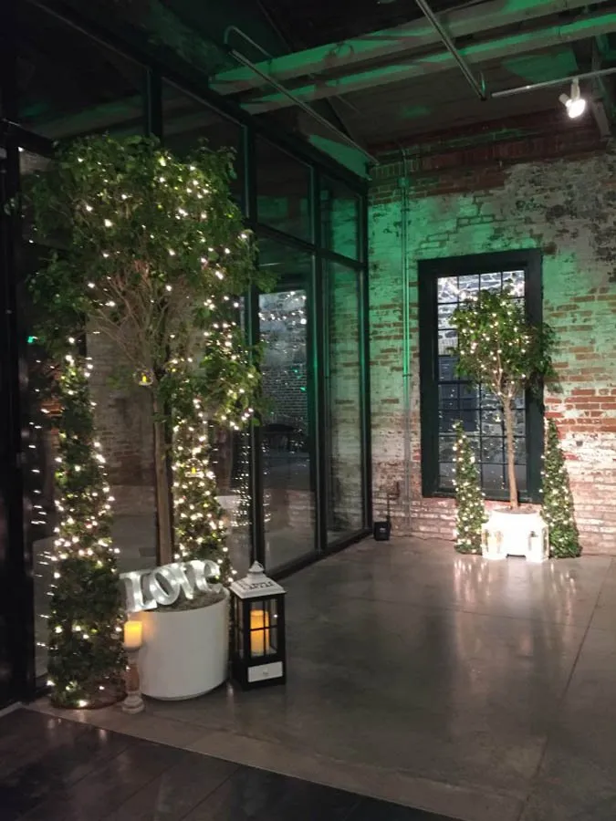 Local yard cleanup service in Asheville, NC - Hummingbird Interior Landscaping