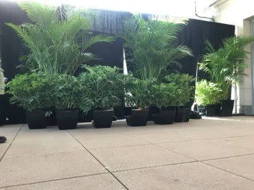 Trusted garden landscaping with custom design in Asheville, NC by Hummingbird Interior Landscaping