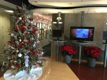 Local lawn mowing service in Asheville, NC by Hummingbird Interior Landscaping