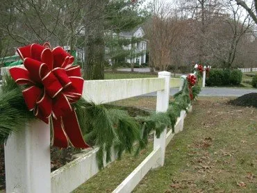 Professional yard maintenance experts serving Asheville, NC - Hummingbird Interior Landscaping