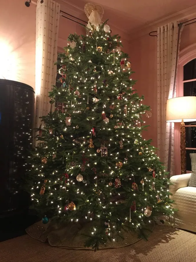 Expert landscape installation for residential properties in Asheville, NC by Hummingbird Interior Landscaping