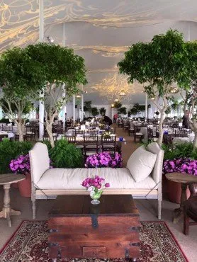 Affordable yard cleanup service for beautiful yards across Asheville, NC - Hummingbird Interior Landscaping