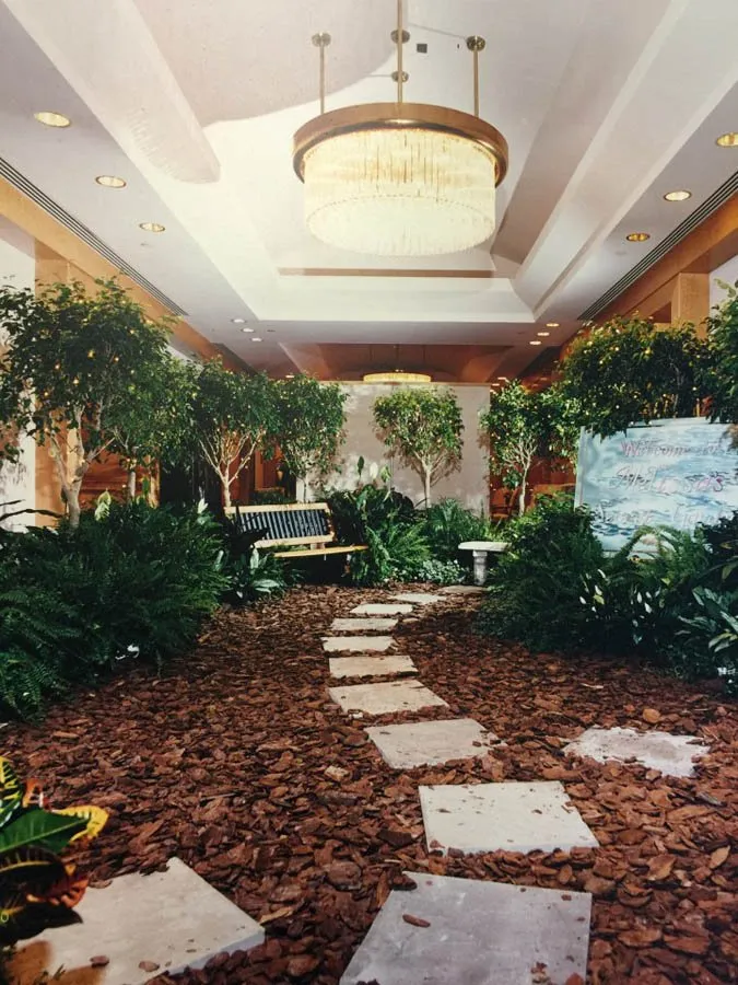 Professional outdoor landscaping experts serving Asheville, NC - Hummingbird Interior Landscaping