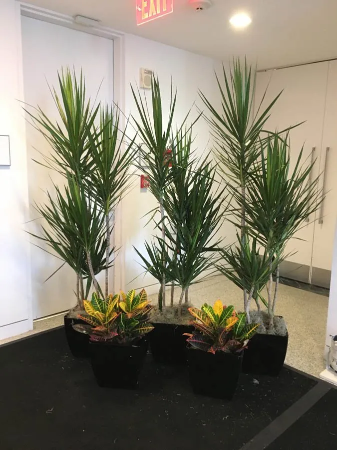 Reliable lawn mowing service near you in Asheville, NC by Hummingbird Interior Landscaping