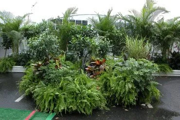 Top-rated outdoor landscaping in Asheville, NC - Hummingbird Interior Landscaping