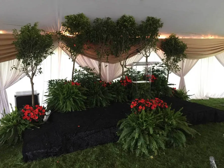 Custom landscape design for outdoor upgrades across Asheville, NC - Hummingbird Interior Landscaping