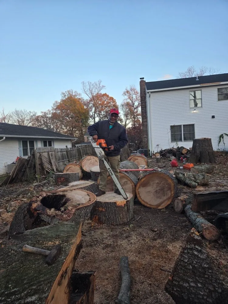 Trusted lawn care service in Gaithersburg, MD - Hummingbird Landscape & Remodeling