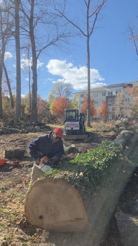 Professional residential landscaping near you across Gaithersburg, MD - Hummingbird Landscape & Remodeling