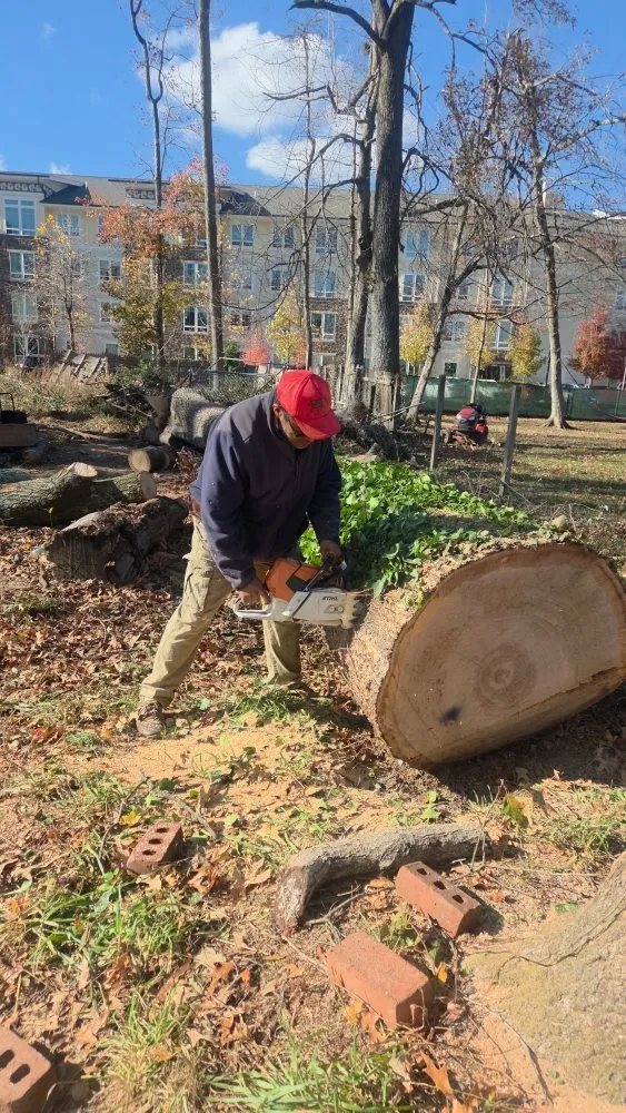 Custom lawn care service in Gaithersburg, MD - Hummingbird Landscape & Remodeling