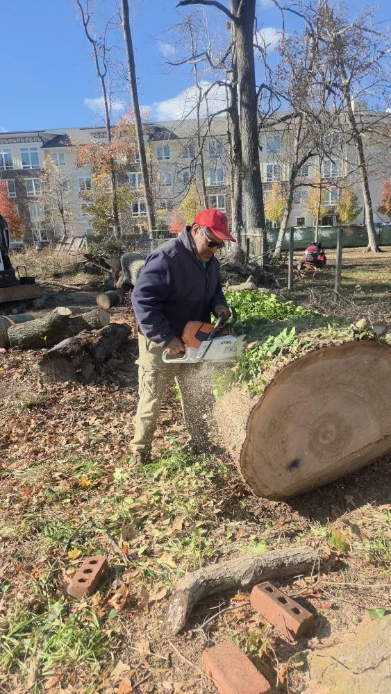 Local yard cleanup service in Gaithersburg, MD by Hummingbird Landscape & Remodeling