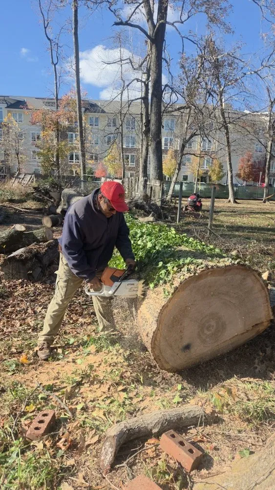 Reliable landscape installation for year-round maintenance across Gaithersburg, MD - Hummingbird Landscape & Remodeling