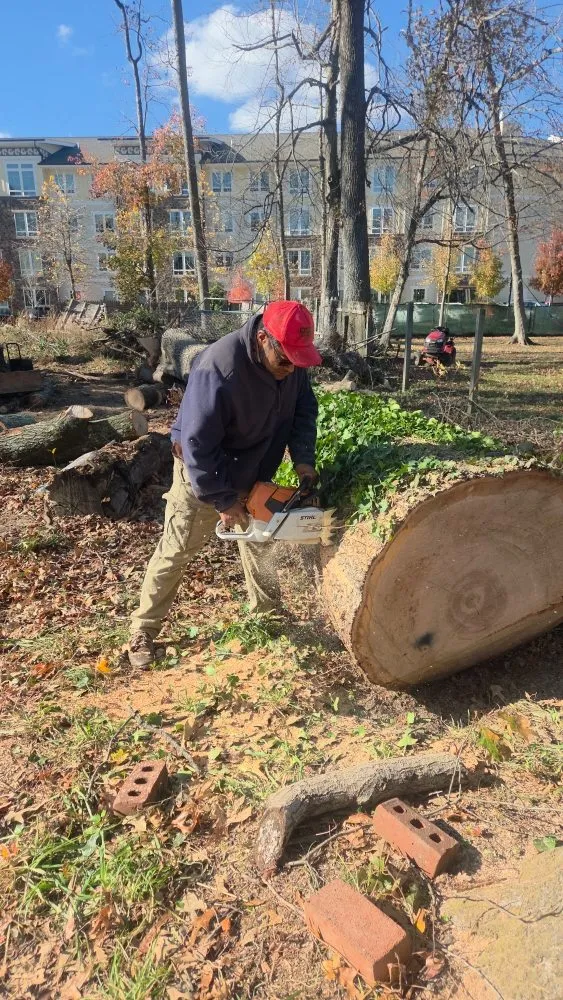 Expert landscape installation for beautiful yards in Gaithersburg, MD by Hummingbird Landscape & Remodeling