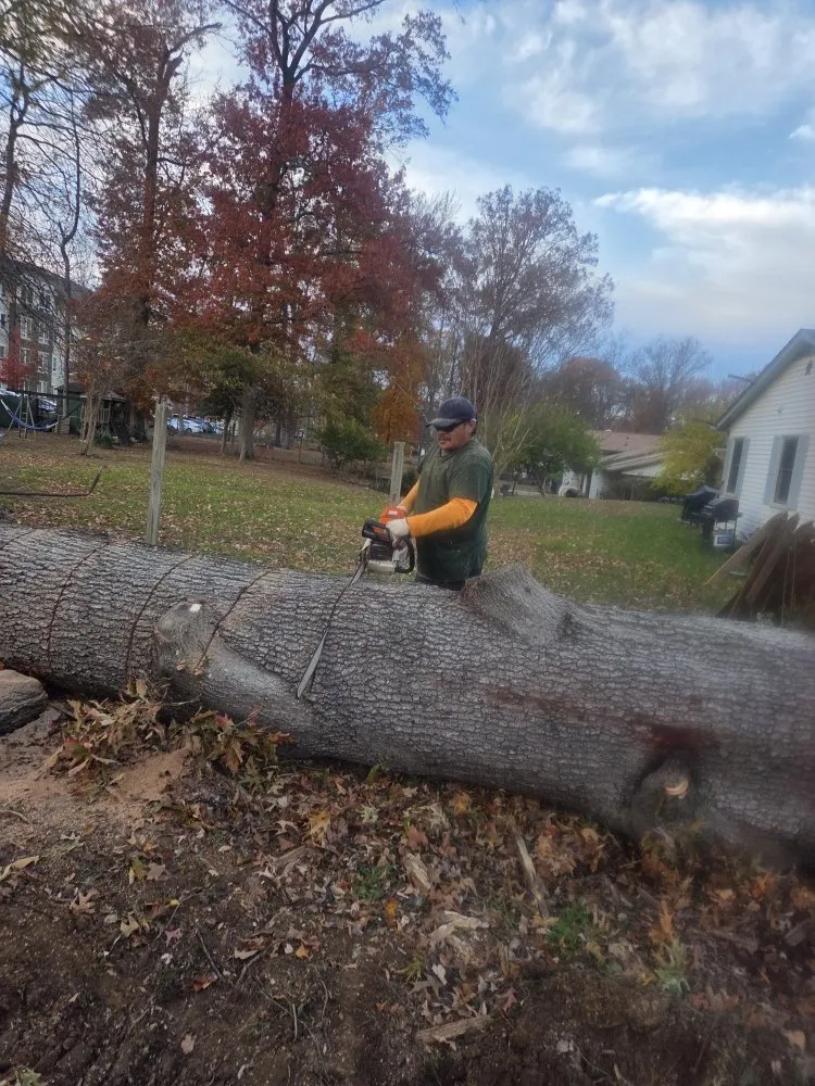 Affordable garden landscaping experts serving Gaithersburg, MD - Hummingbird Landscape & Remodeling