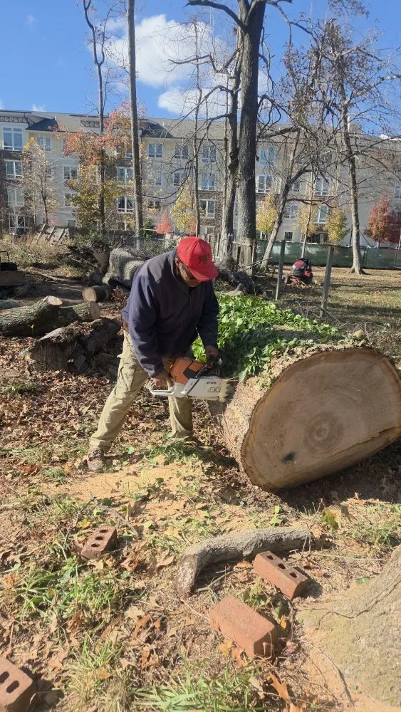 Expert lawn care service for year-round maintenance in Gaithersburg, MD by Hummingbird Landscape & Remodeling