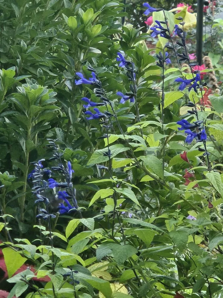 Reliable outdoor landscaping experts serving Gaithersburg, MD - Hummingbird Landscape & Remodeling