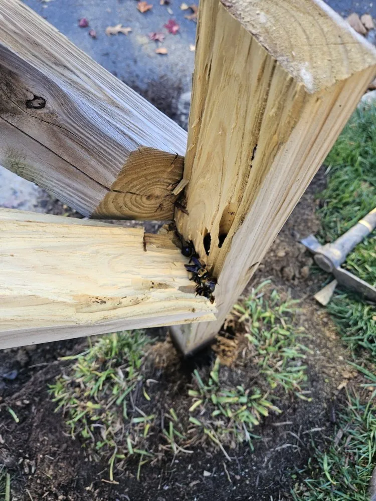 Affordable landscape design in Gaithersburg, MD by Hummingbird Landscape & Remodeling