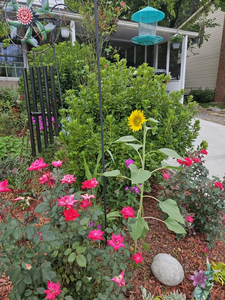 Custom yard maintenance near you in Gaithersburg, MD by Hummingbird Landscape & Remodeling