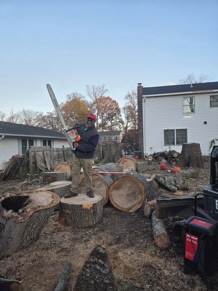 Top-rated lawn care service in Gaithersburg, MD - Hummingbird Landscape & Remodeling