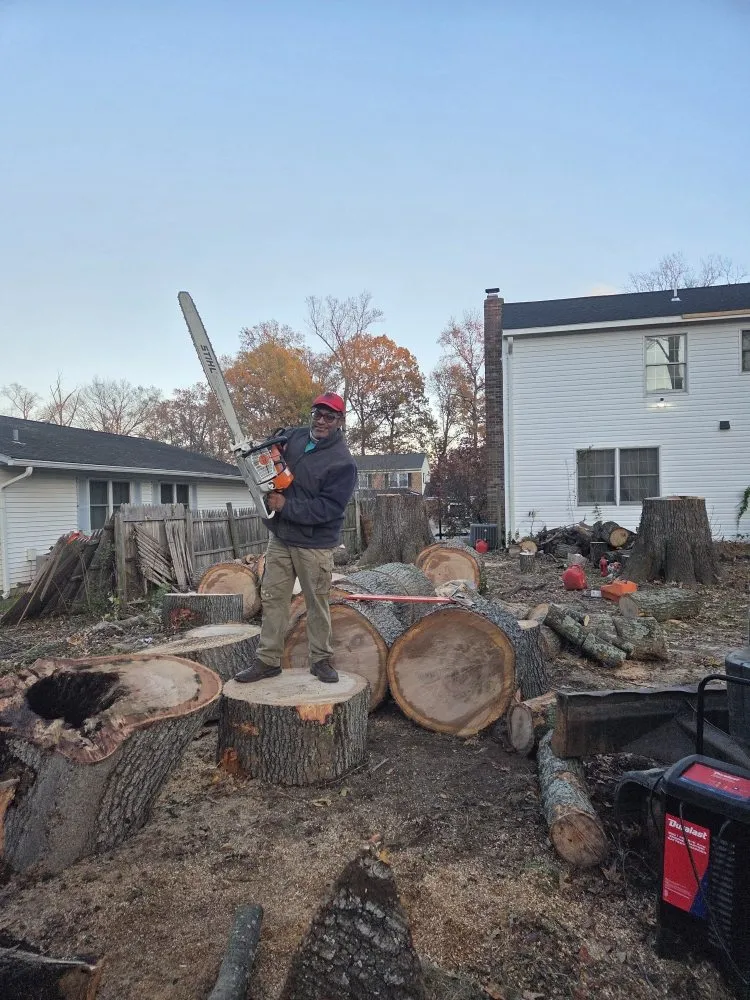 Custom landscape installation in Gaithersburg, MD by Hummingbird Landscape & Remodeling