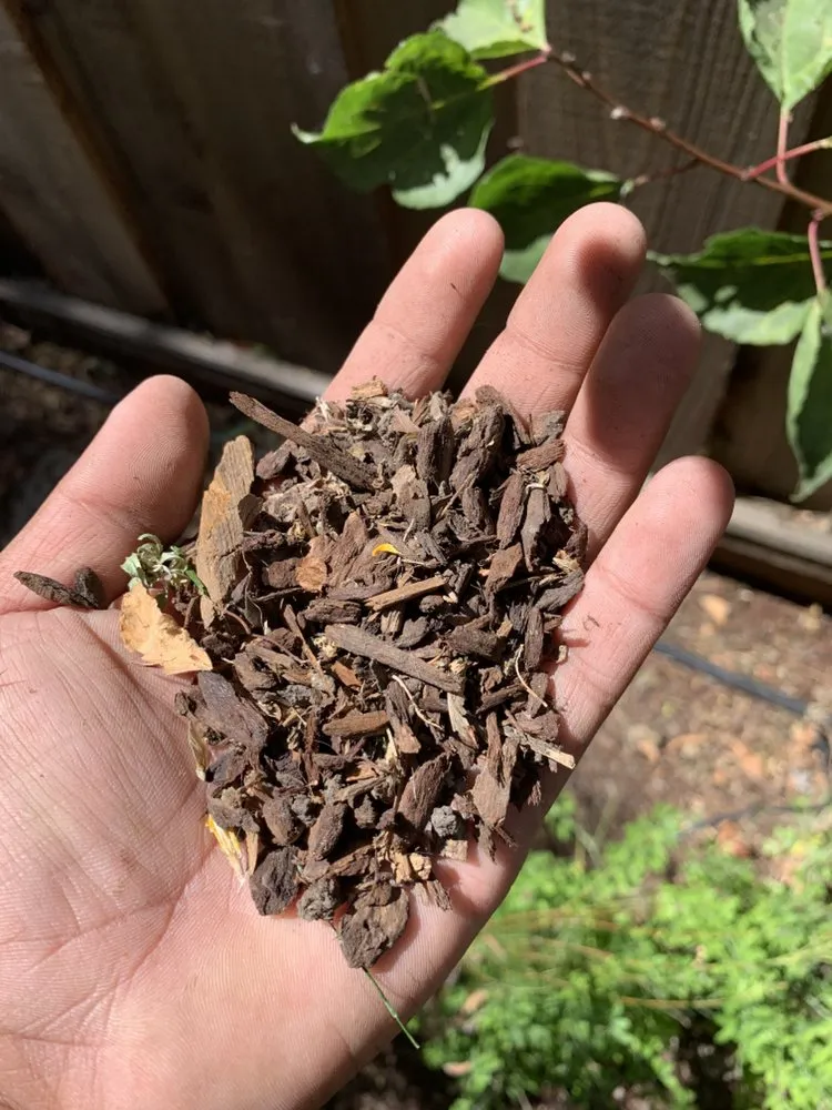 Expert landscape design in Oakland, CA by Hummingbird Landscape