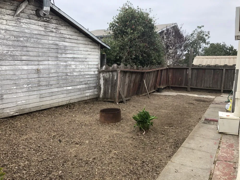 Top-rated landscape design for year-round maintenance in Oakland, CA by Hummingbird Landscape