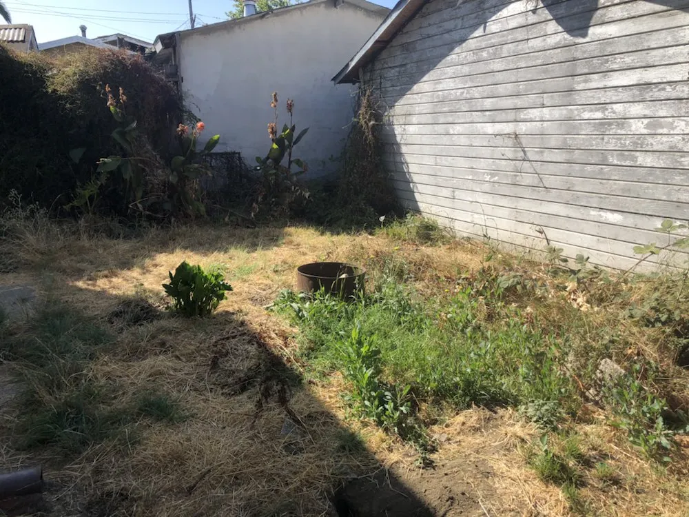 Professional lawn mowing service experts serving Oakland, CA - Hummingbird Landscape