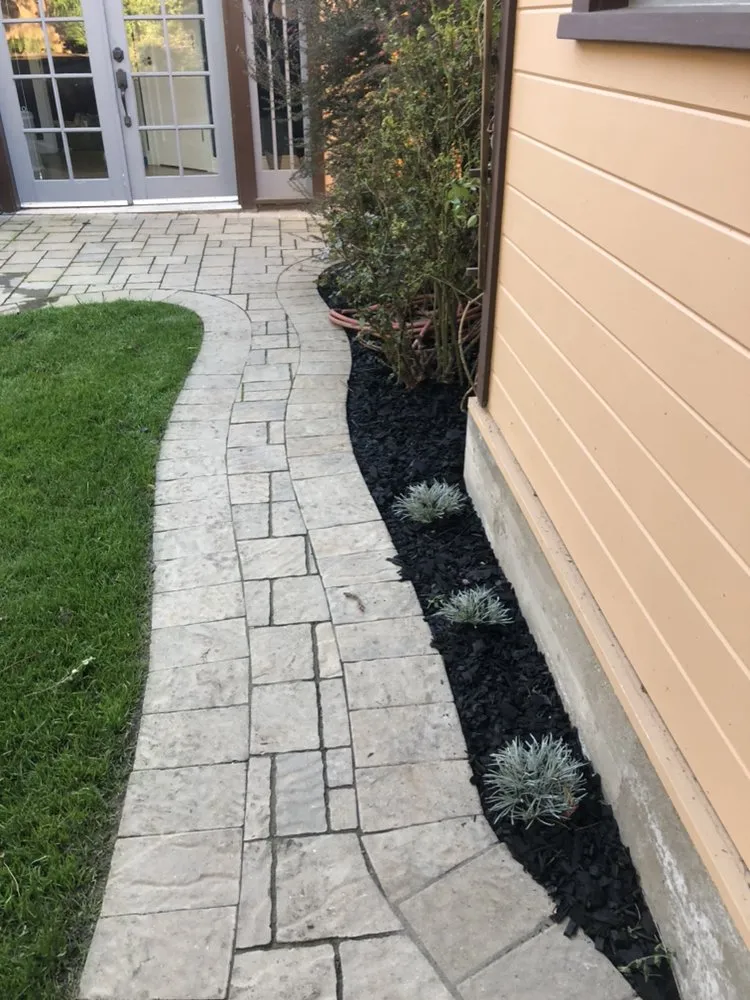 Expert yard cleanup service in Oakland, CA by Hummingbird Landscape