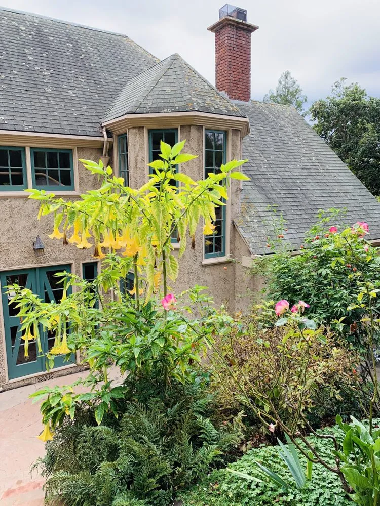 Affordable lawn mowing service in Oakland, CA by Hummingbird Landscape