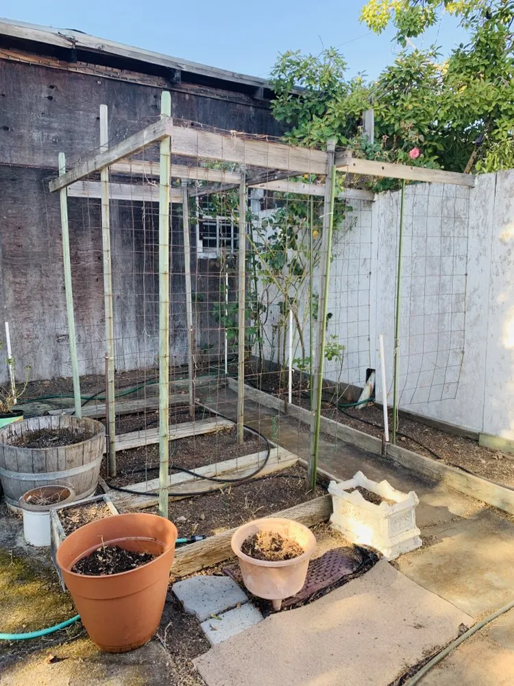 Custom outdoor landscaping in Oakland, CA by Hummingbird Landscape