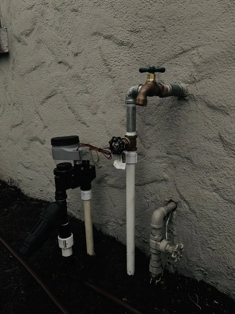 Reliable landscaping services in Oakland, CA - Hummingbird Landscape