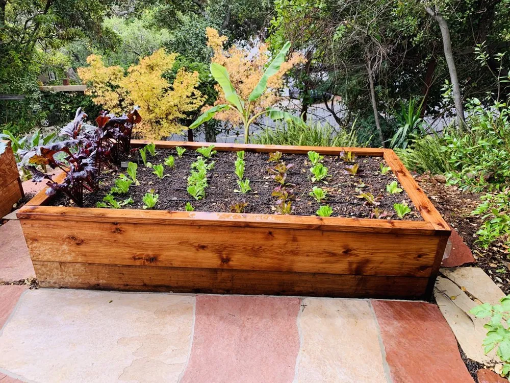 Reliable yard maintenance in Oakland, CA - Hummingbird Landscape