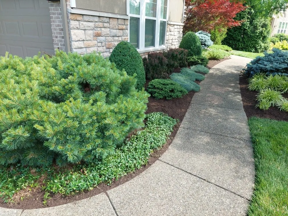 Top-rated landscape design experts serving Covedale, OH - Hummingbird Landscaping & Design Services