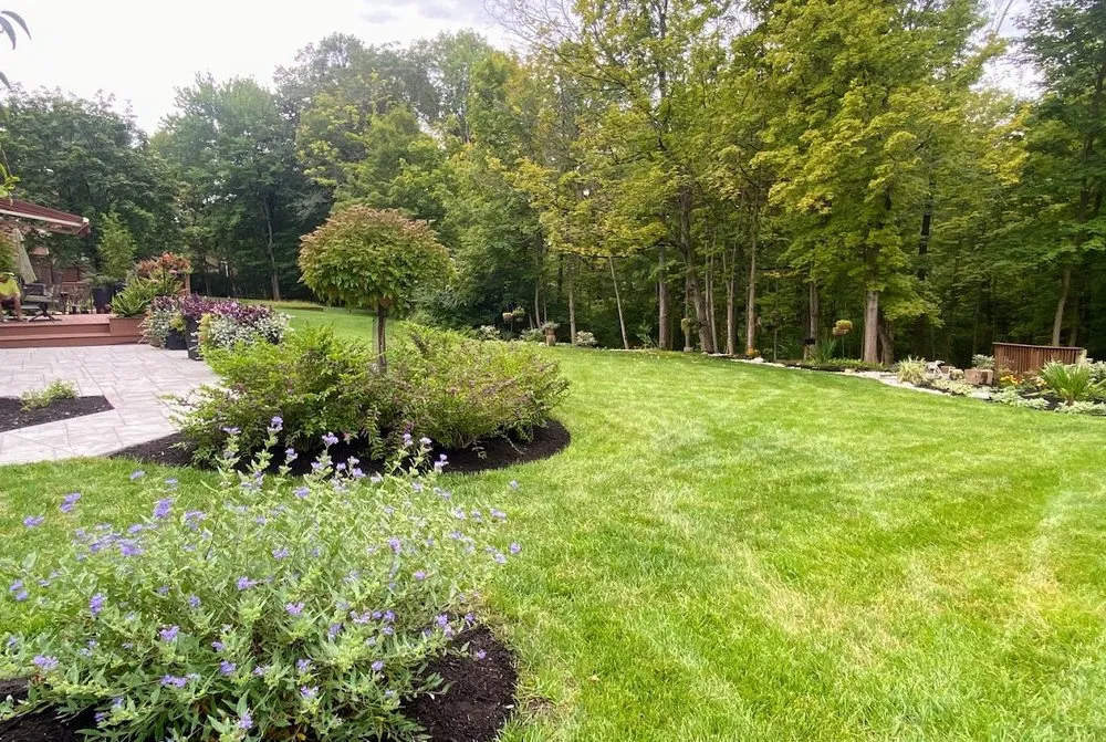 Affordable outdoor landscaping in Covedale, OH - Hummingbird Landscaping & Design Services