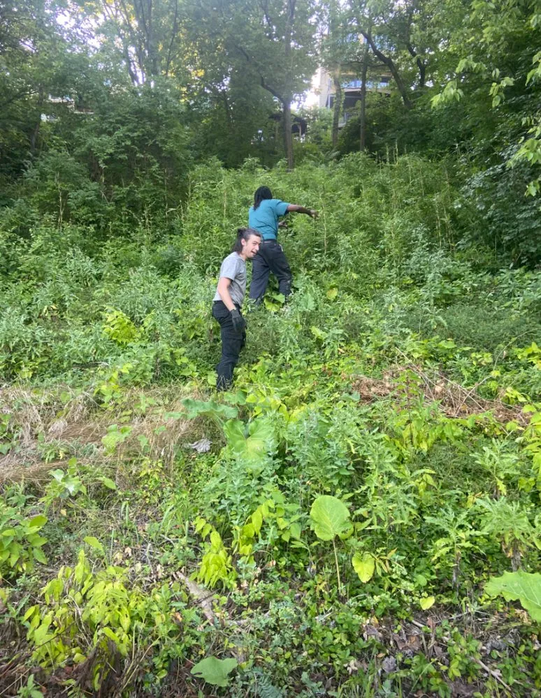 Reliable yard maintenance for year-round maintenance across Covedale, OH - Hummingbird Landscaping & Design Services