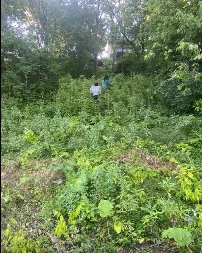 Reliable garden landscaping for outdoor upgrades across Covedale, OH - Hummingbird Landscaping & Design Services