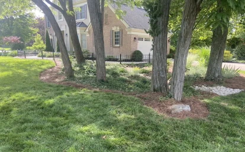 Professional landscape design experts serving Covedale, OH - Hummingbird Landscaping & Design Services