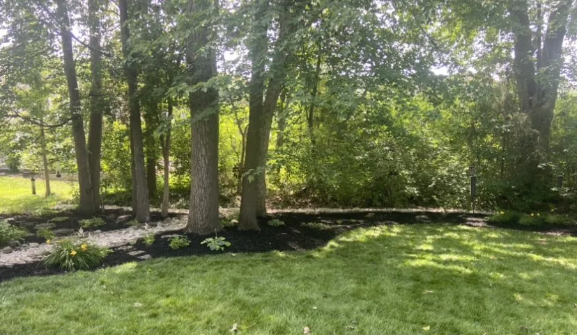 Custom outdoor landscaping experts serving Covedale, OH - Hummingbird Landscaping & Design Services