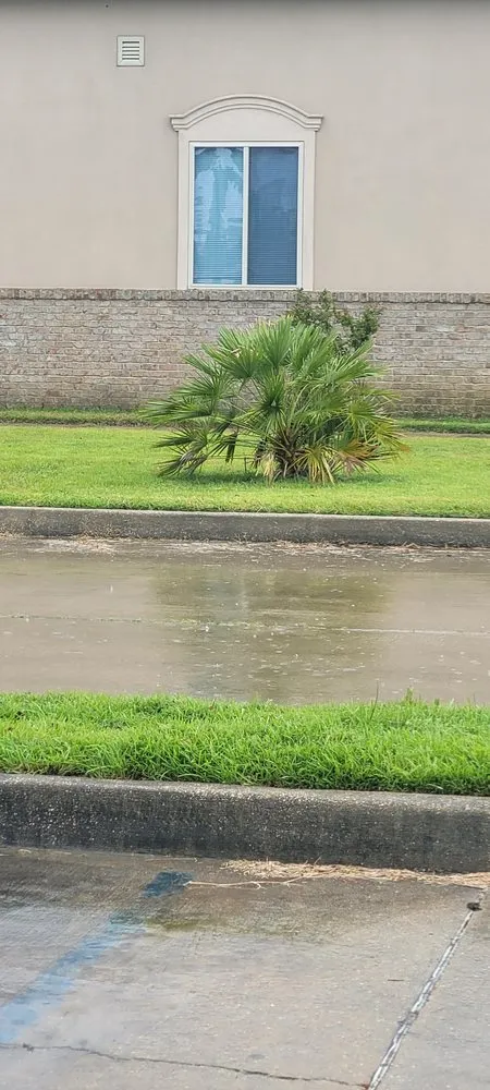 Top-rated yard cleanup service in Byron, GA by Hummingbird Lawn And Landscape