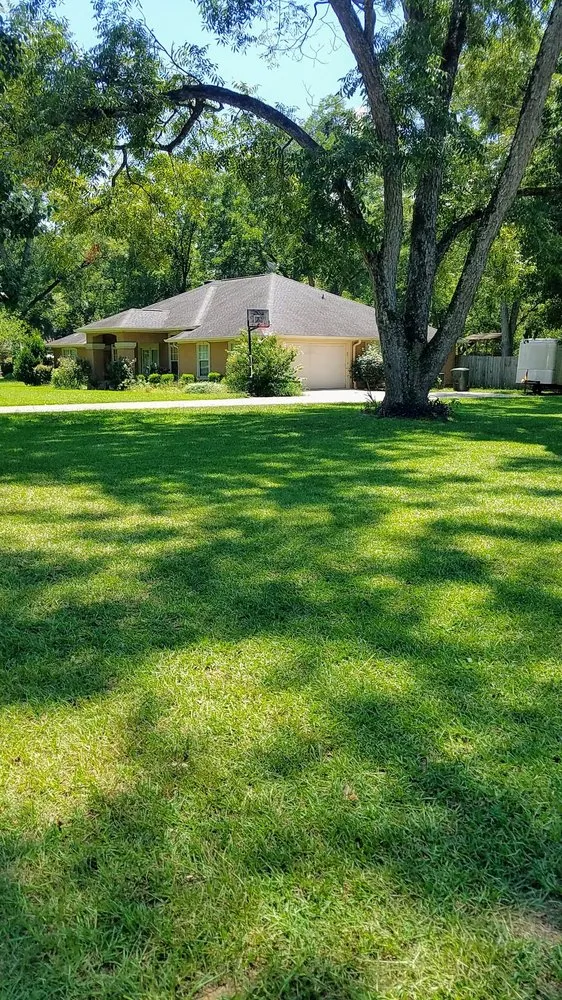 Trusted residential landscaping in Byron, GA by Hummingbird Lawn And Landscape