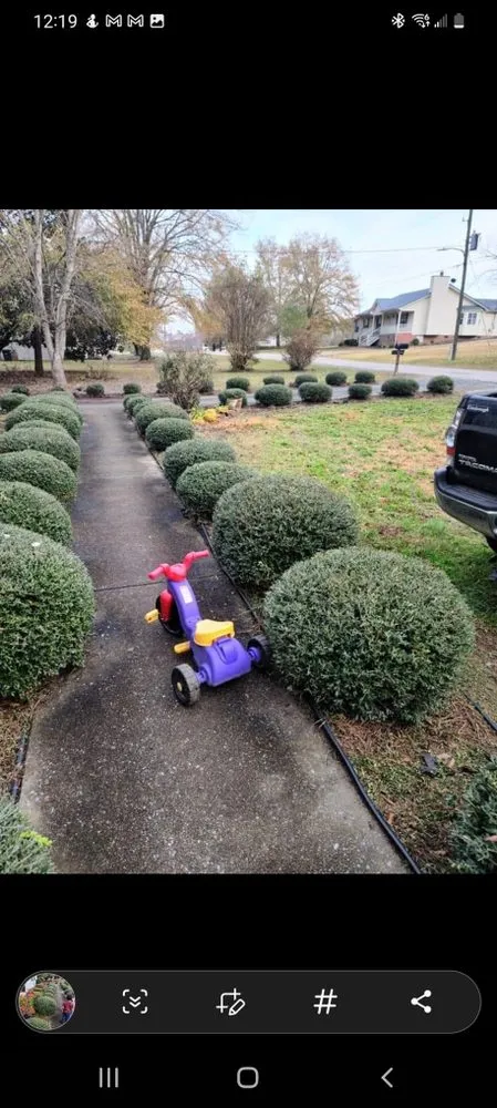 Reliable landscape installation for homes across Harpersville, AL - Hummingbird Lawn Care