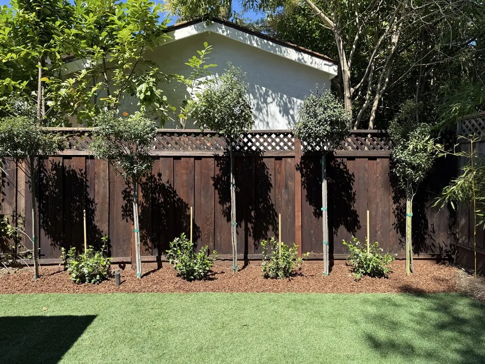Local lawn mowing service for beautiful yards in Palo Alto, CA by Hummingbird Silicon Valley